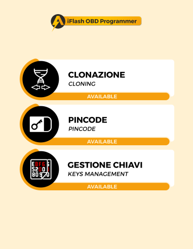 Modulo BCM Opel Delphi SW3x / SW4x