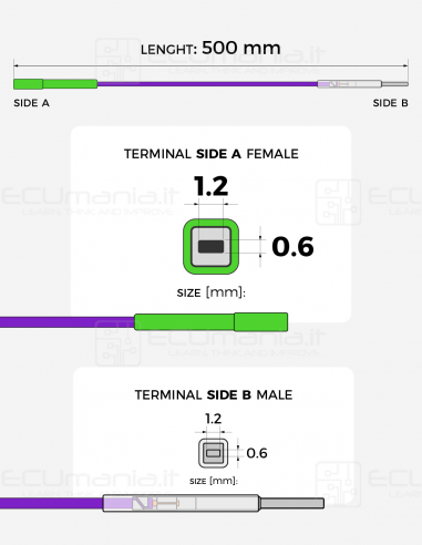 Interconnection Cable – MCON 1.2 × 0.6 mm...