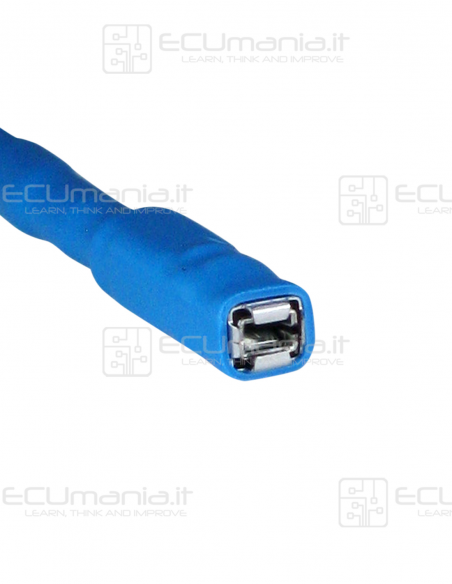 Interconnection Cable – MCP 1.5 × 0.6 mm Female to MCON 1.2 × 0.6 mm Male (Blue Sleeve)
