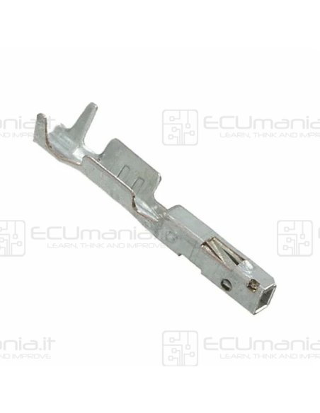 Contatto Connettore Molex CONN-CONTF-MOL-001, Femmina