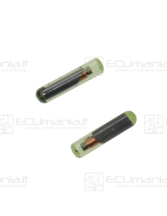 Transponder T5 ID11, Glass