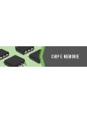 Memorie e Microprocessori – Chip ECU